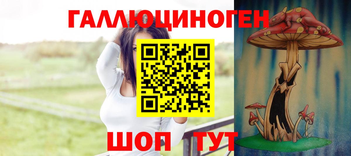 Галлюциногенные грибы Psilocybine cubensis  Вход с VPN  как найти наркотики  Зима 