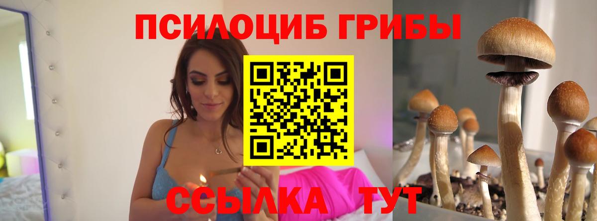 Псилоцибиновые грибы MAGIC MUSHROOMS Зима